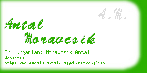 antal moravcsik business card